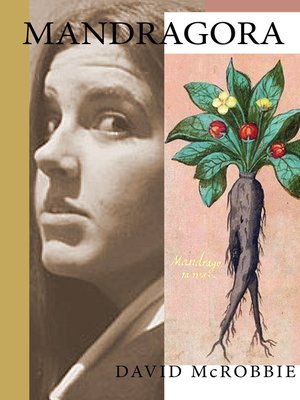 cover image of Mandragora